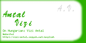 antal vizi business card